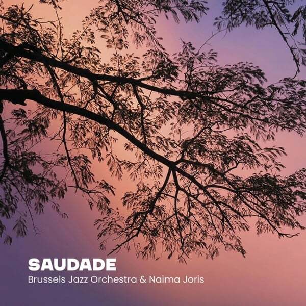 Cover art for Saudade
